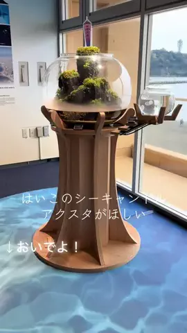藤沢愛のTikTok投稿
