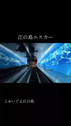 藤沢愛のTikTok投稿