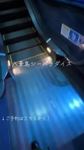 藤沢愛のTikTok投稿