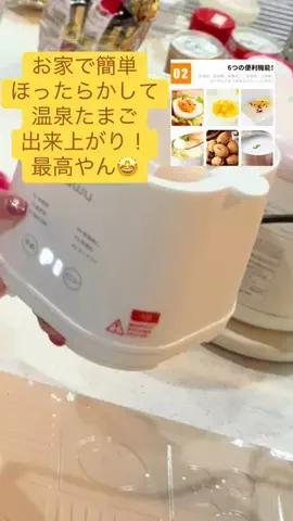 ちーちゃん🎀2匹のわんことハッピー人生のTikTok投稿