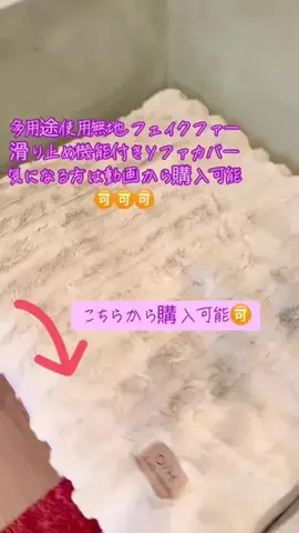 ちーちゃん🎀2匹のわんことハッピー人生のTikTok投稿
