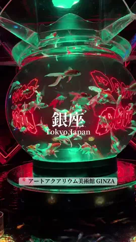 旅するtakkiのTikTok投稿