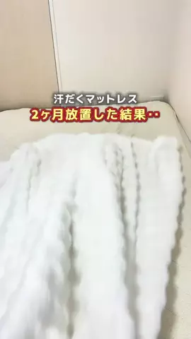 りこ⌇ズボラでもゆとりある暮らし𓂃𓈒𓏸のTikTok投稿