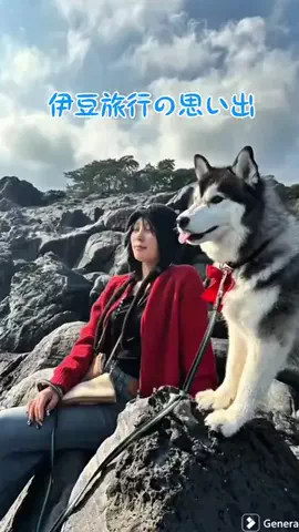 もえまつの森🌳💥のTikTok投稿