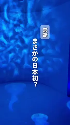 ゆう| 京都デートを極めた人のTikTok投稿