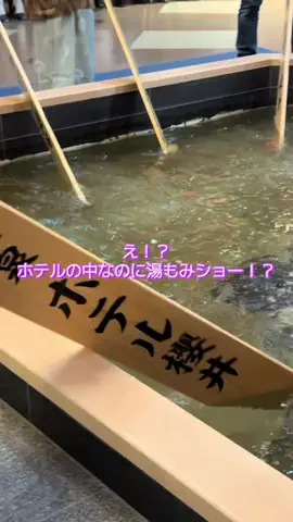 y_urin_aのTikTok投稿
