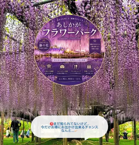 凛｜ホテル×旅日記✈️💫のTikTok投稿