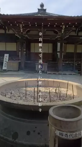 Manoa⭐︎モデル・PRクリエイターのTikTok投稿