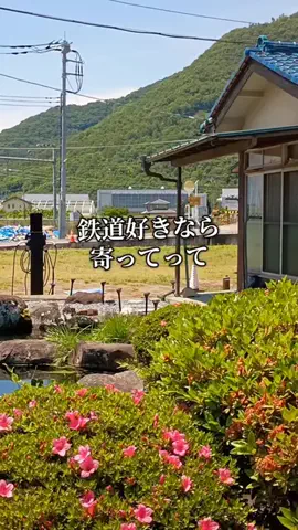 Og ToのTikTok投稿