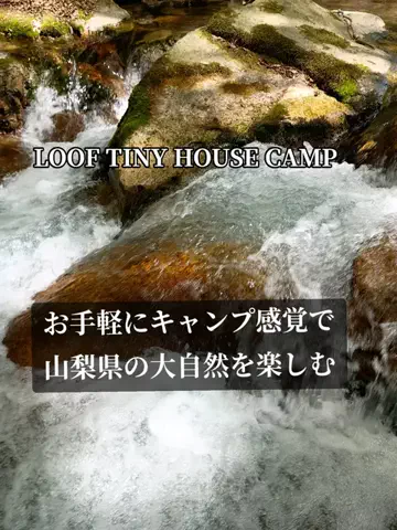 Og ToのTikTok投稿