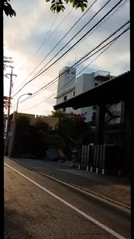 Og ToのTikTok投稿