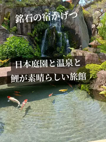 Og ToのTikTok投稿