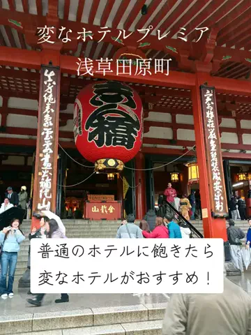 Og ToのTikTok投稿