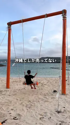 おきはなのTikTok投稿