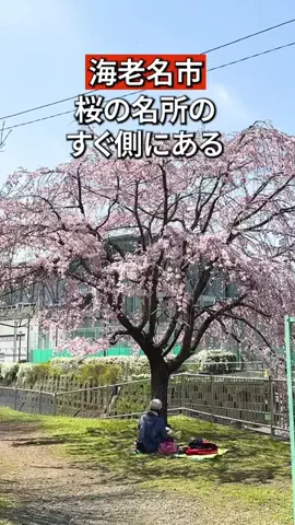 かなぐるマップ/神奈川グルメのTikTok投稿