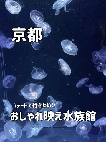 ゆいたす✈︎年100泊する旅好きカップルのTikTok投稿