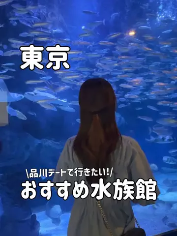 ゆいたす✈︎年100泊する旅好きカップルのTikTok投稿