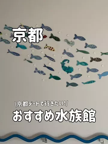 ゆいたす✈︎年100泊する旅好きカップルのTikTok投稿