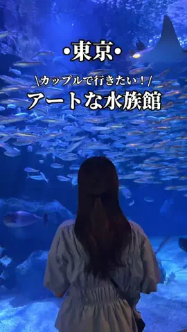 ゆいたす✈︎年100泊する旅好きカップルのTikTok投稿