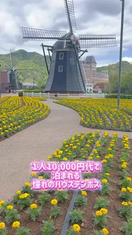 えるさ⌇年間100日お出かけする母ちゃん👩‍🦰のTikTok投稿