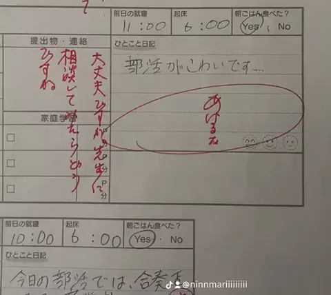 なおたんのTikTok投稿