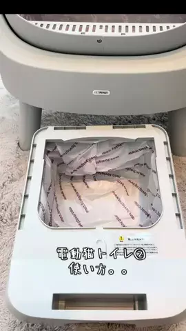 グリのTikTok投稿