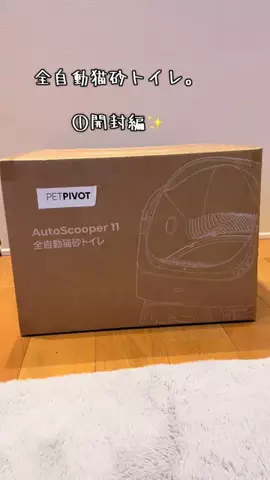 グリのTikTok投稿