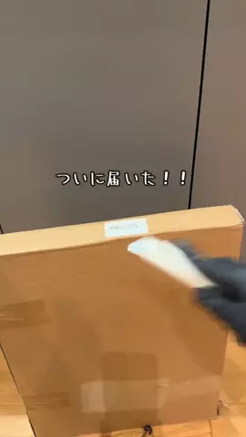 グリのTikTok投稿
