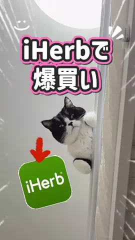 さぶろう🐾猫の着ぐるみ着たおっさんのTikTok投稿