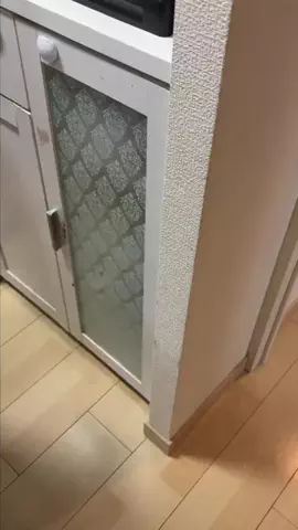 どすこいりったん🕺💖のTikTok投稿