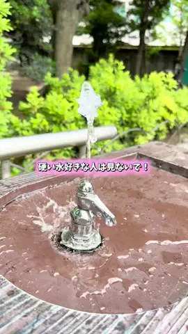 TrendTimes｜トレンドタイムズのTikTok投稿