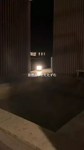 韓国メロンのTikTok投稿