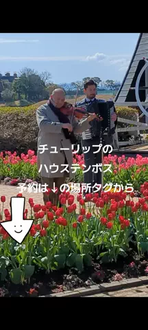 トアンもん　チャンネルのTikTok投稿