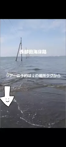 トアンもん　チャンネルのTikTok投稿