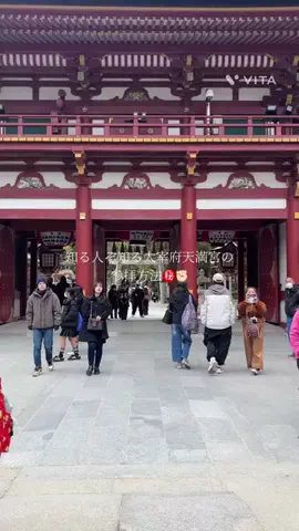 韓国メロンのTikTok投稿