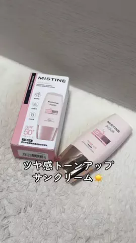 チビちゃんのTikTok投稿