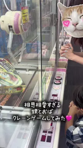 ゆーひま家族のTikTok投稿