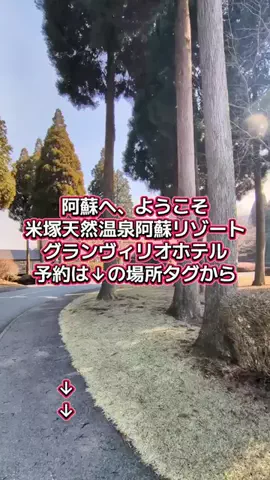 トアンもん　チャンネルのTikTok投稿