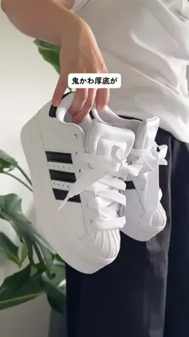 ASUのTikTok投稿