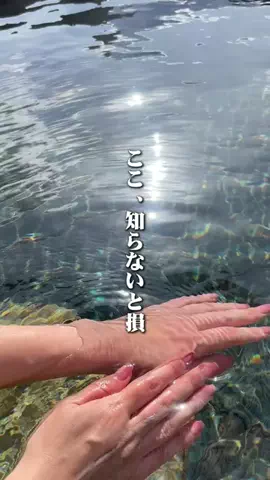 和歌山グルメ／WAKAYAMA SELECTのTikTok投稿