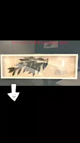 take__1994のTikTok投稿