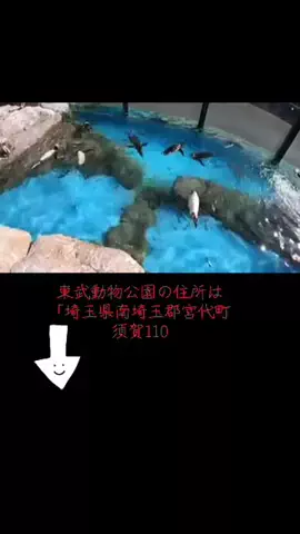 take__1994のTikTok投稿
