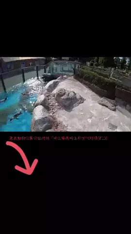 take__1994のTikTok投稿