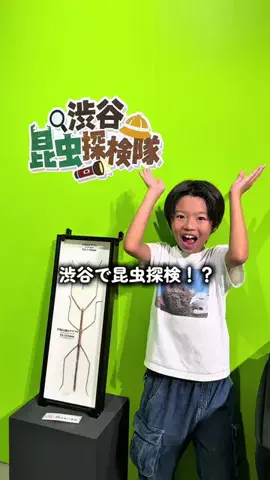 ゆづっこ🍄のTikTok投稿
