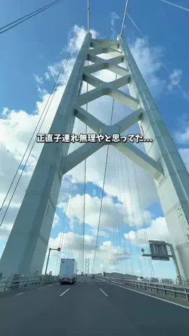 ハリママのTikTok投稿