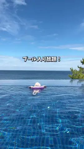 ハリママのTikTok投稿