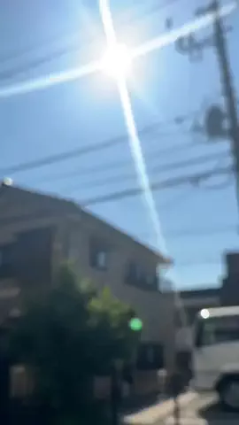 葵のTikTok投稿