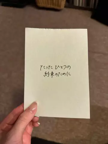 梨乃 / 歌詞動画のTikTok投稿