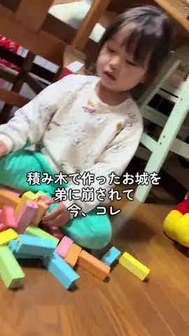 サラとソラの日常のTikTok投稿