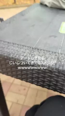 今日のじいじのTikTok投稿